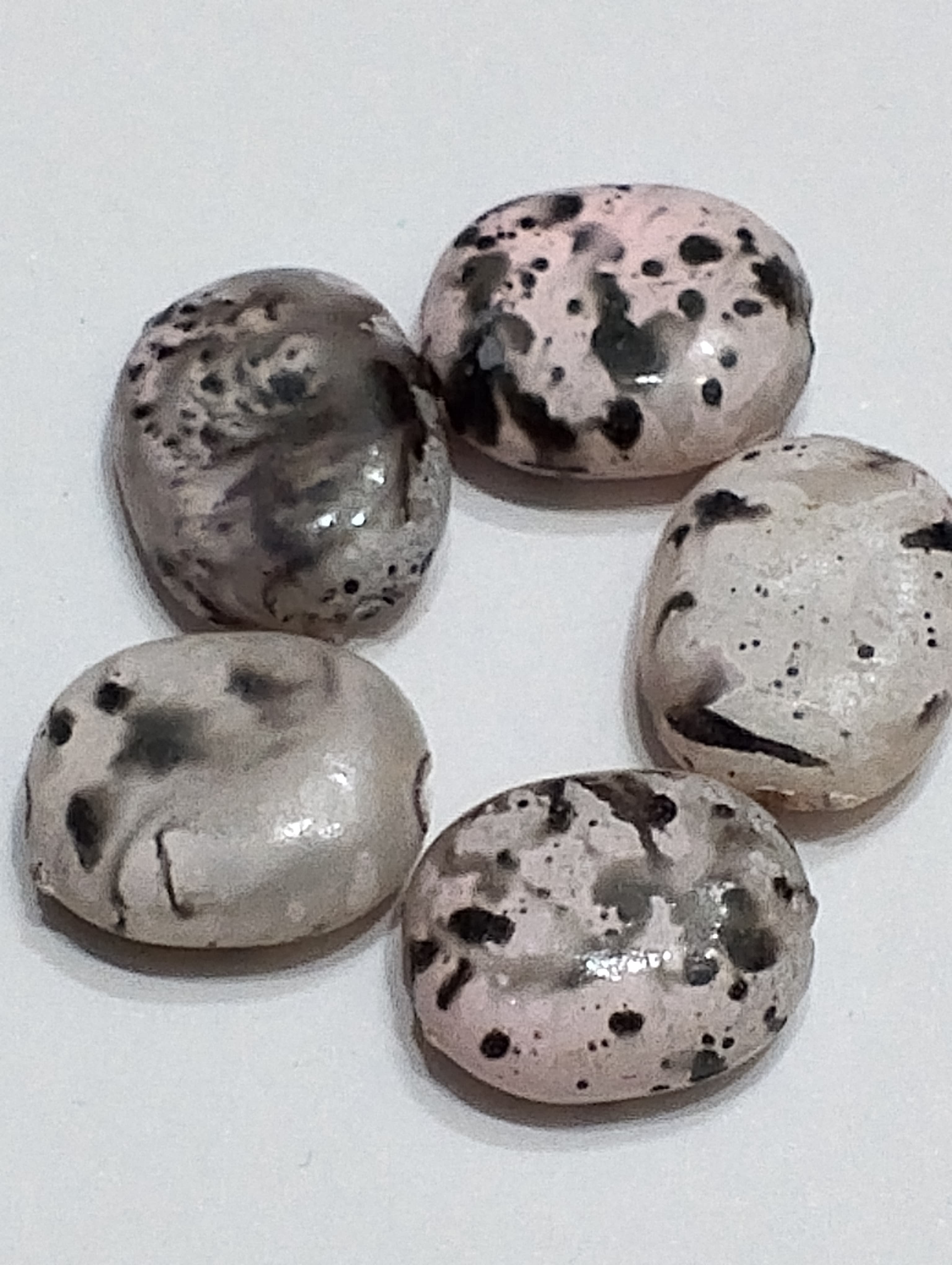 Pack of 40gms Beads, Black White Oval Plastic Beads For DIY Jewelry Making, Jewelry, DIY, Dresses And Crafting Accessories.