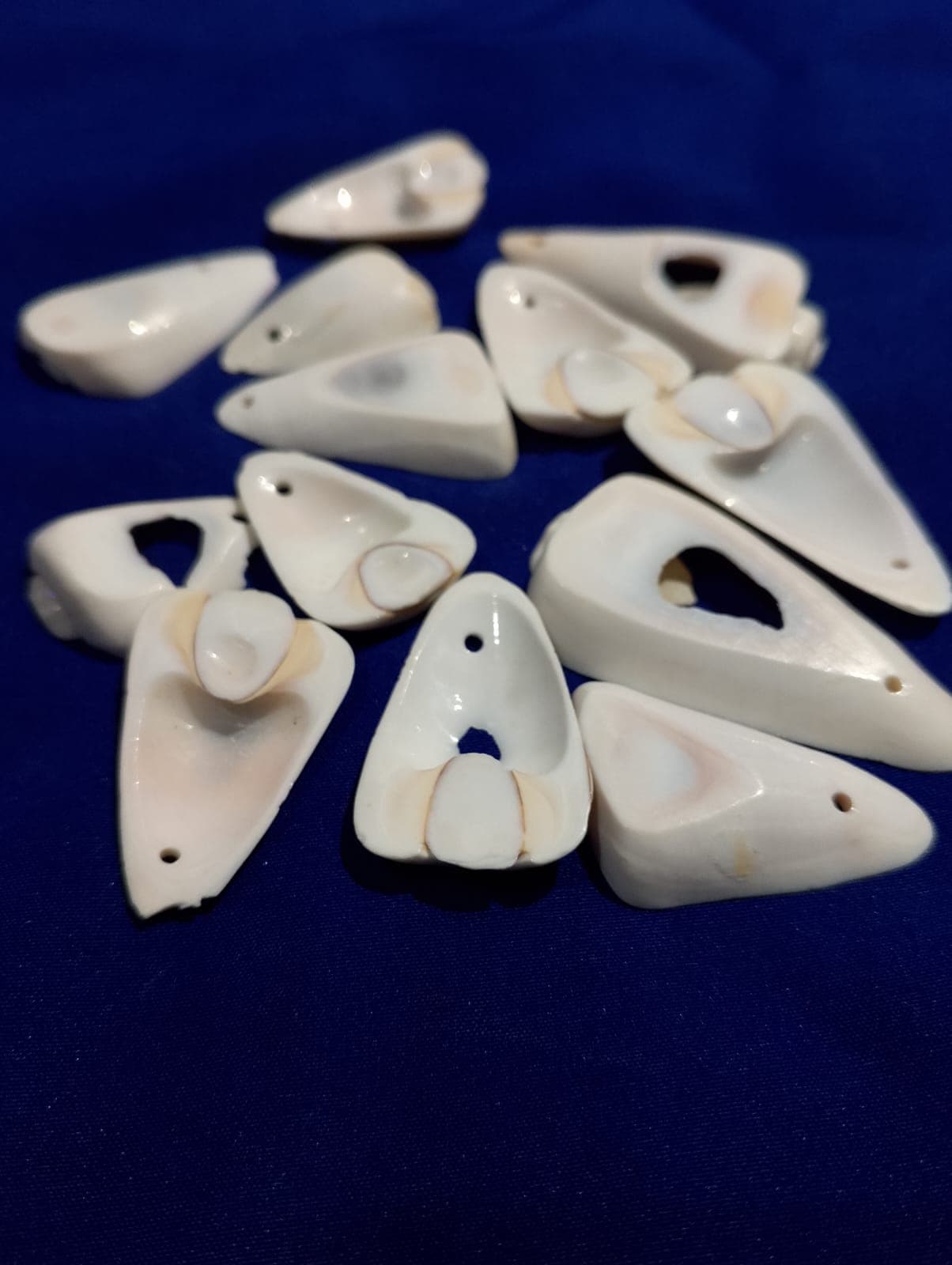 Natural Marine Pieces For DIY Crafts | 15 Mix Size pcs (2.5cm to 5cm) | Real Cut Marine Pieces With Hole | Use As Beads, Pendent Or Aquarium | Ideal For DIY Jewelry Making, Crafting, And Home Decoration