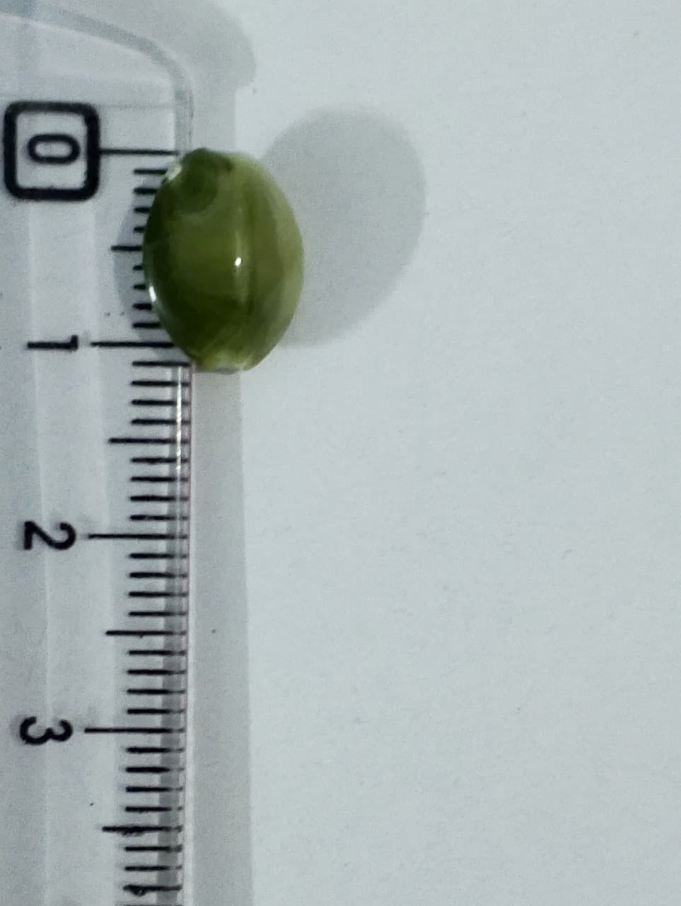 Unique Beads for Unique Crafts. Green Marble Oval Acrylic Plastic Beads. Pack of 40gms, For DIY Jewelry Making, Crafting, Home Decor, And Dress Accessories.